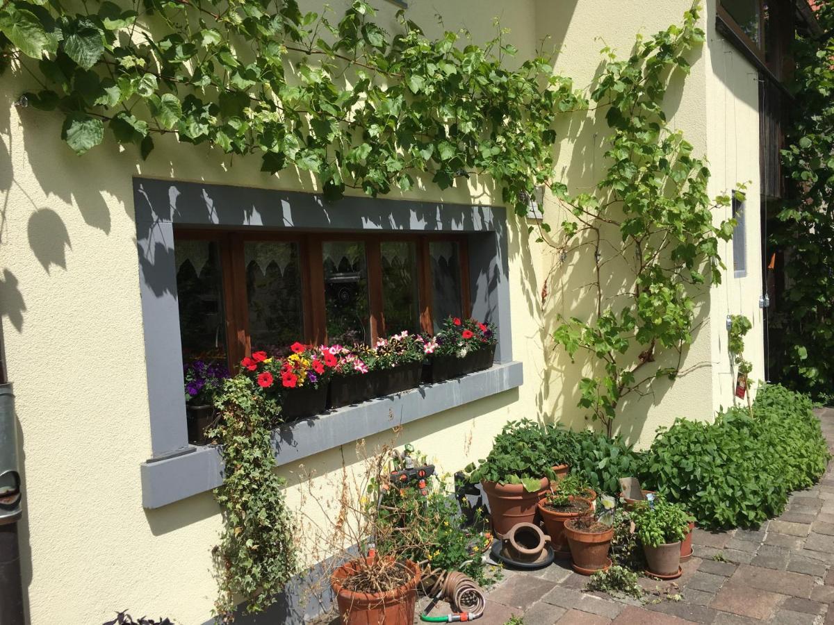 Ferienhaus Mit Naturgarten Dachsen 外观 照片