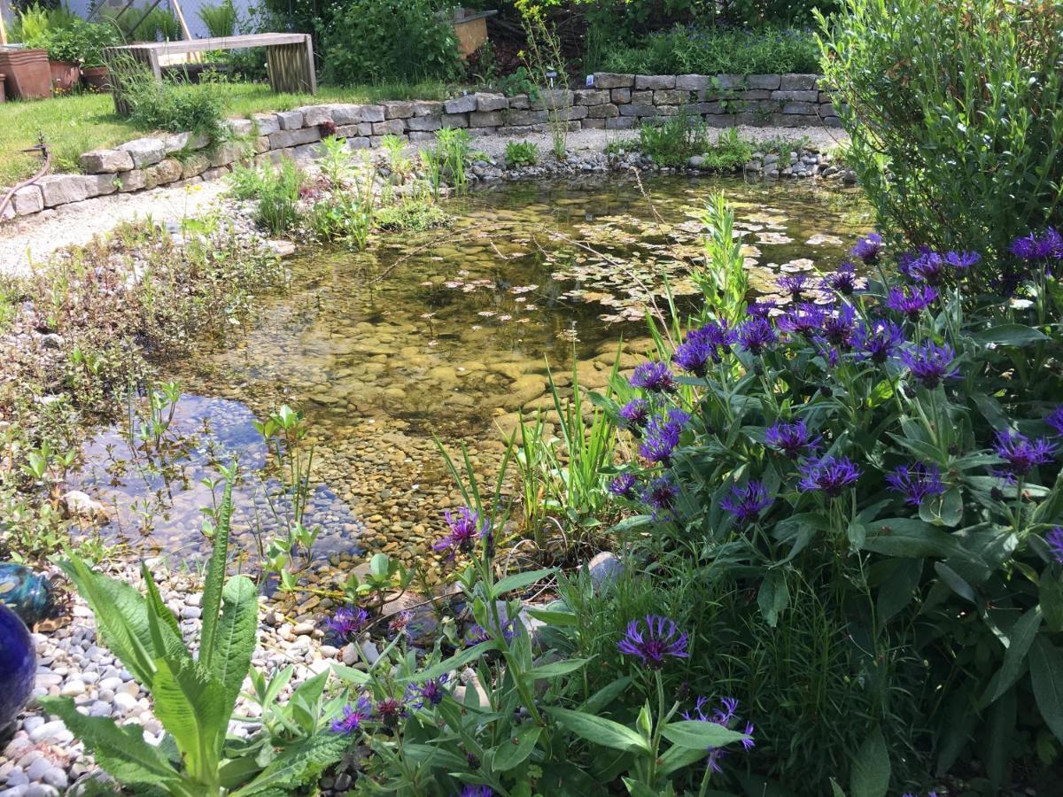 Ferienhaus Mit Naturgarten Dachsen 外观 照片