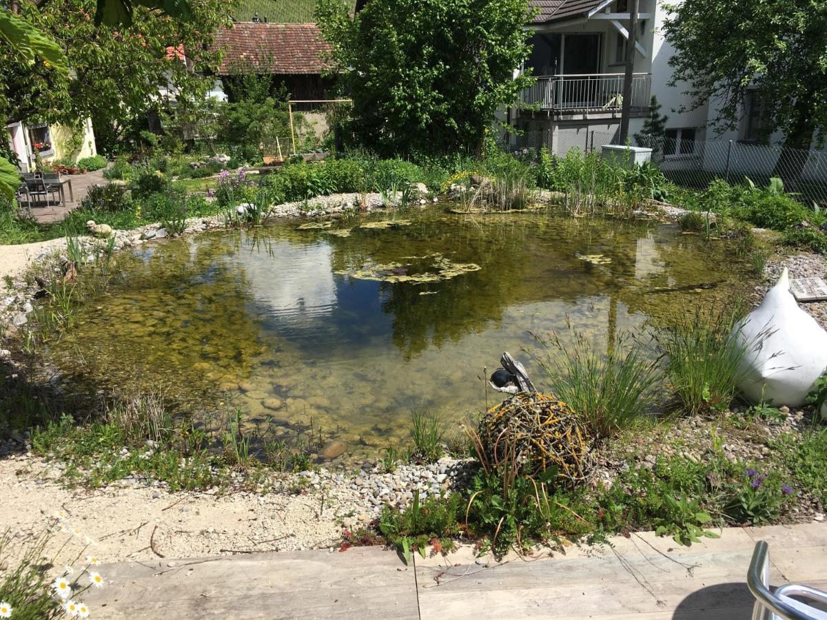 Ferienhaus Mit Naturgarten Dachsen 外观 照片