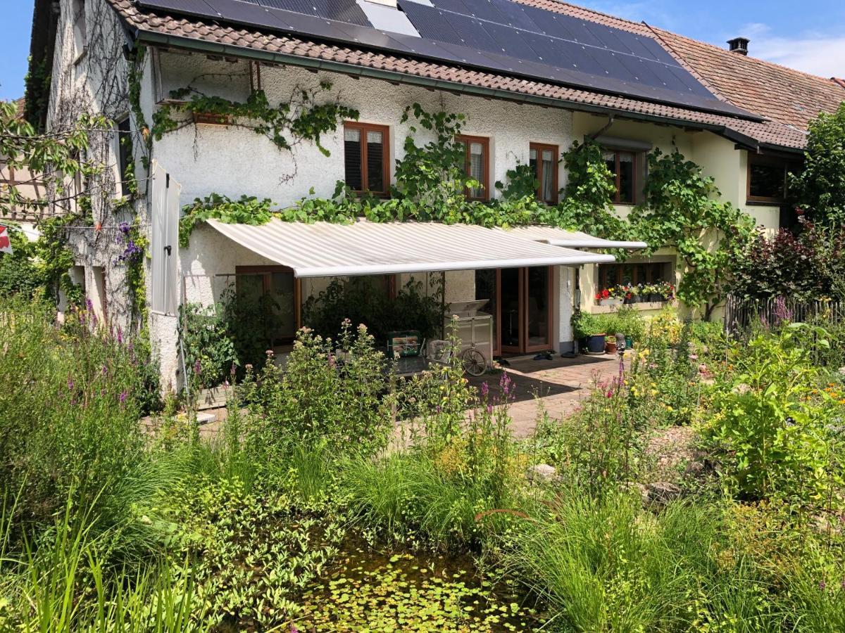 Ferienhaus Mit Naturgarten Dachsen 外观 照片